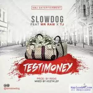 Slowdog - Testimony ft. Mr Raw & TJ